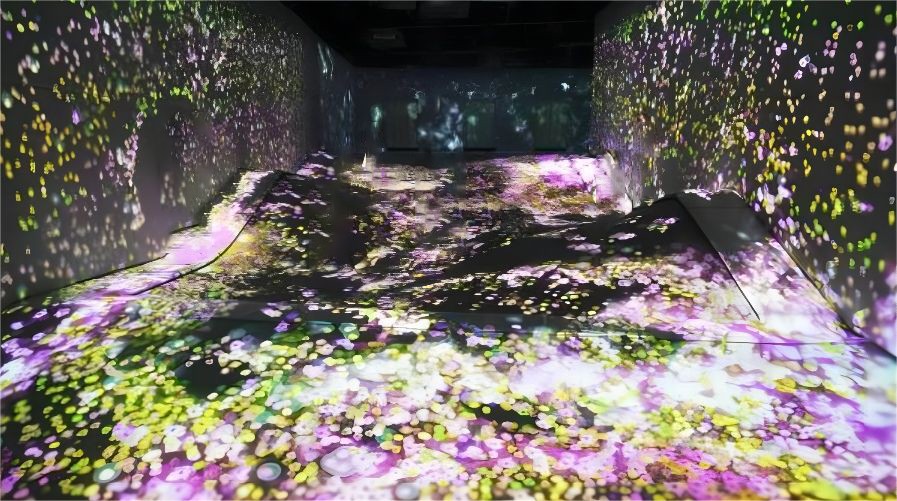 1707121018197286.jpg 2.jpg